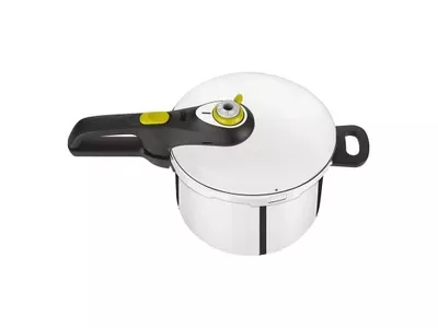 زودپز تفال مدل P2584300