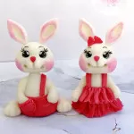 خرگوش های جفتی سفید 